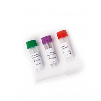 Набор реагентов для обнаружения реагиновых антител методом агглютинации, одноразовый слайд, 250 шт. (сифилис)